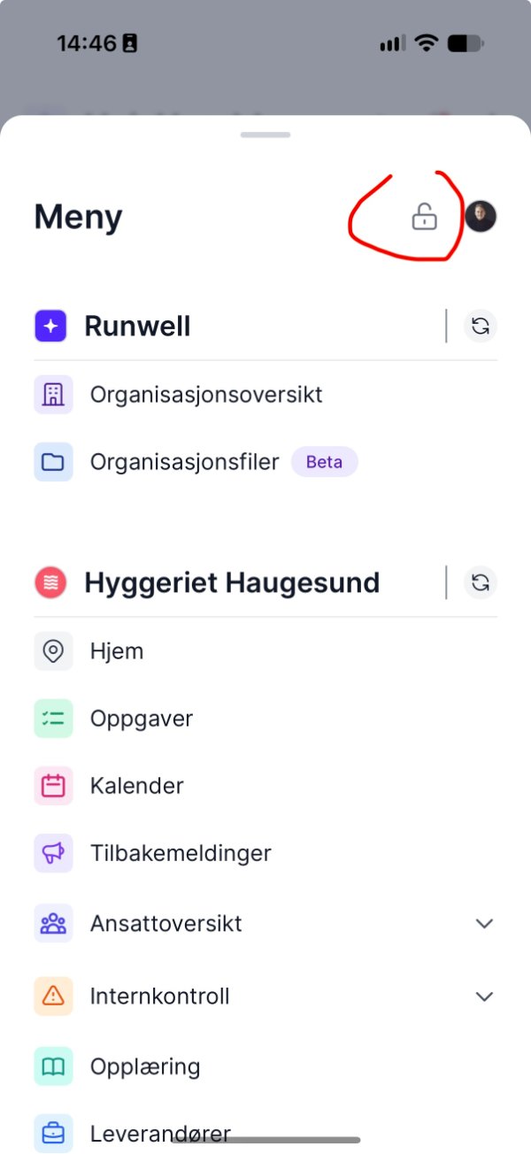 Skjermbilde: mobil las opp display